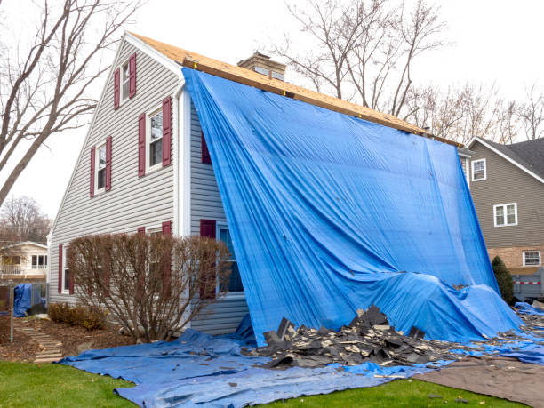 Best Brick Veneer Siding  in Twin Grove, IL